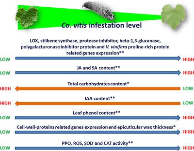 An Intimate Relationship Between Eriophyoid Mites and Their Host Plants – A Review